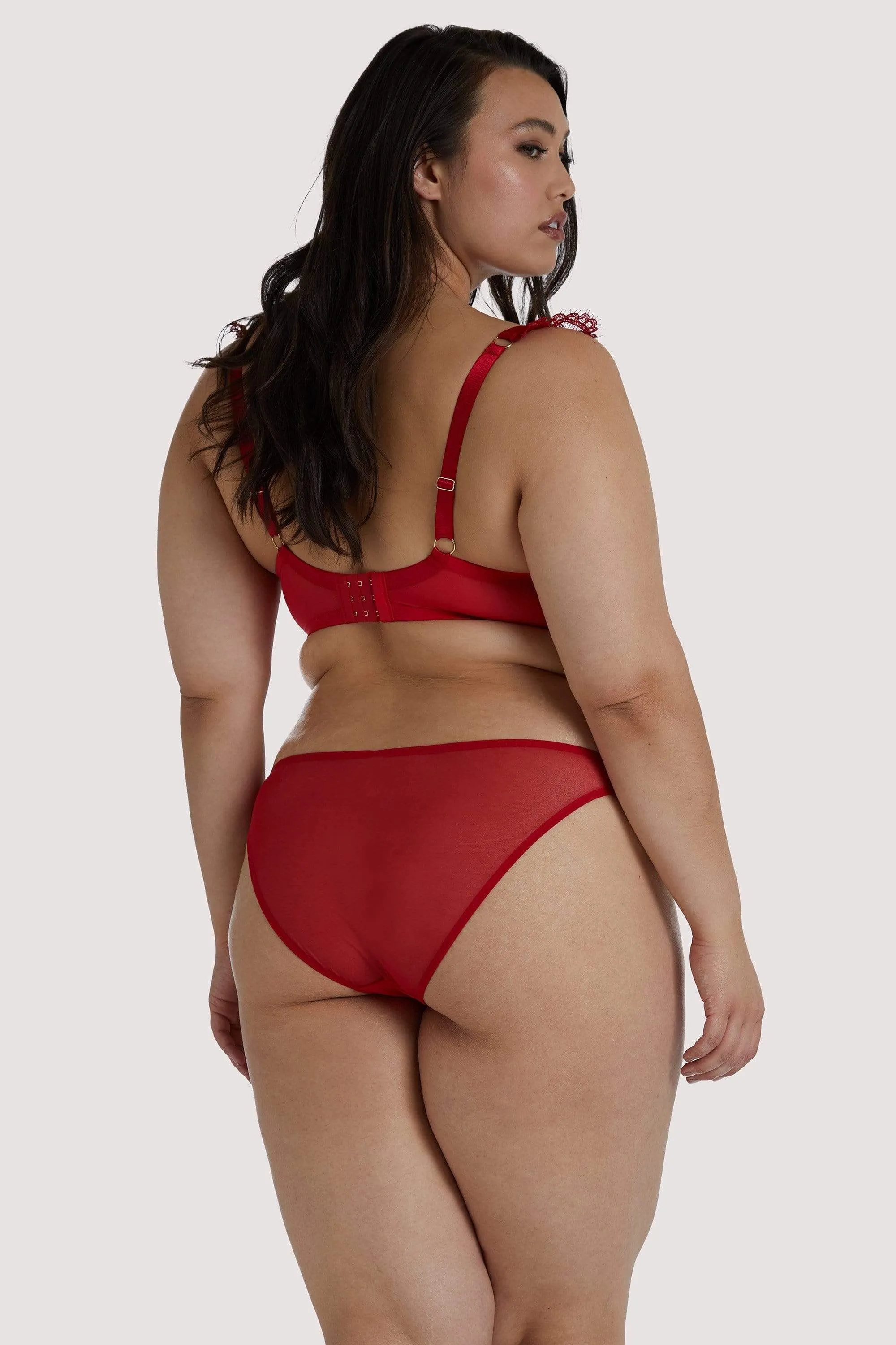 Anneliese Red Satin Net and Lace Bra