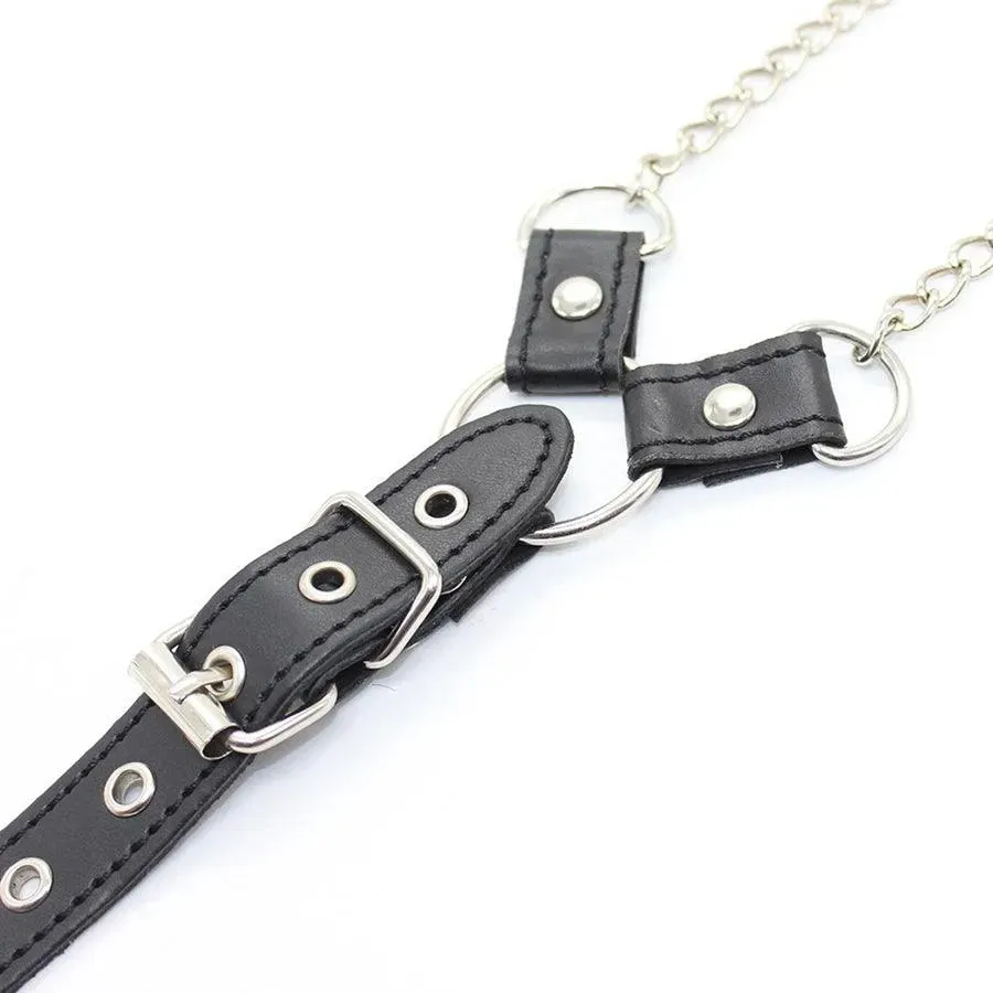 Exquisitely Crafted Male Nipple Clips