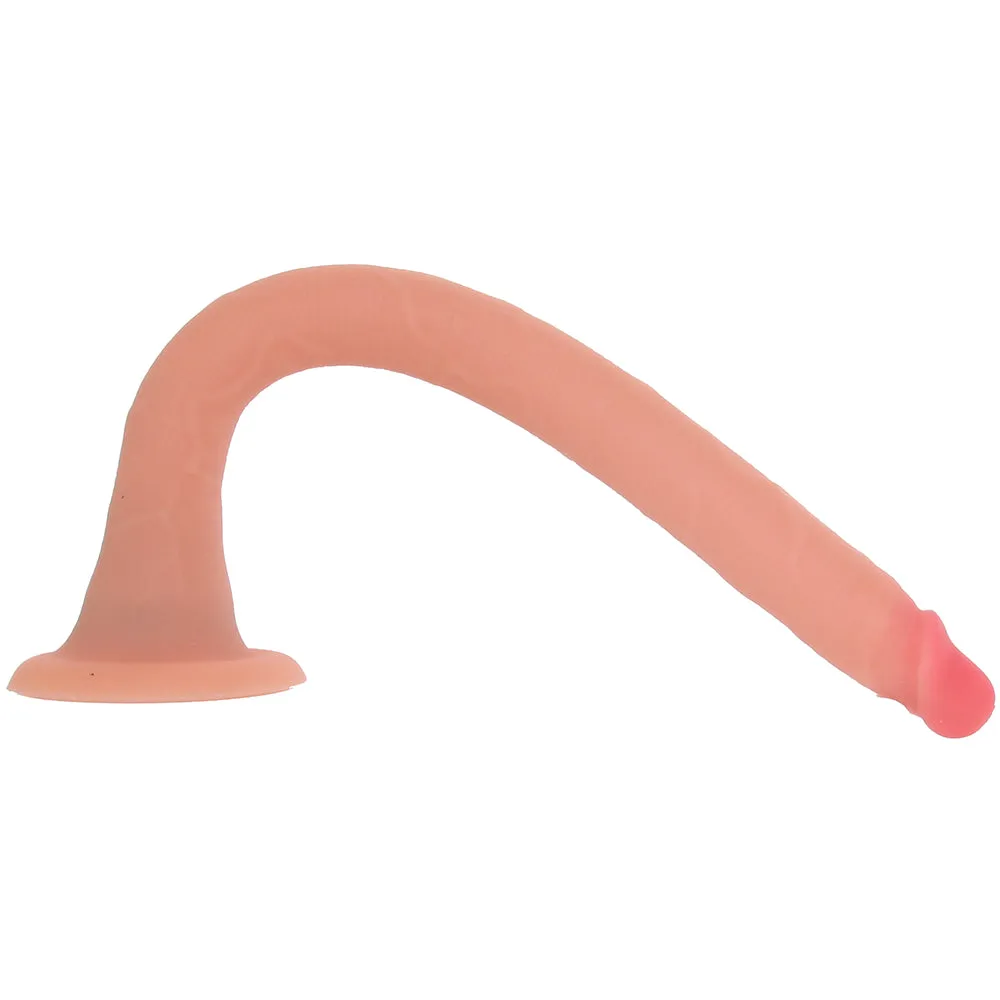 Hosed 12" Slim Realistic Silicone Enema Hose