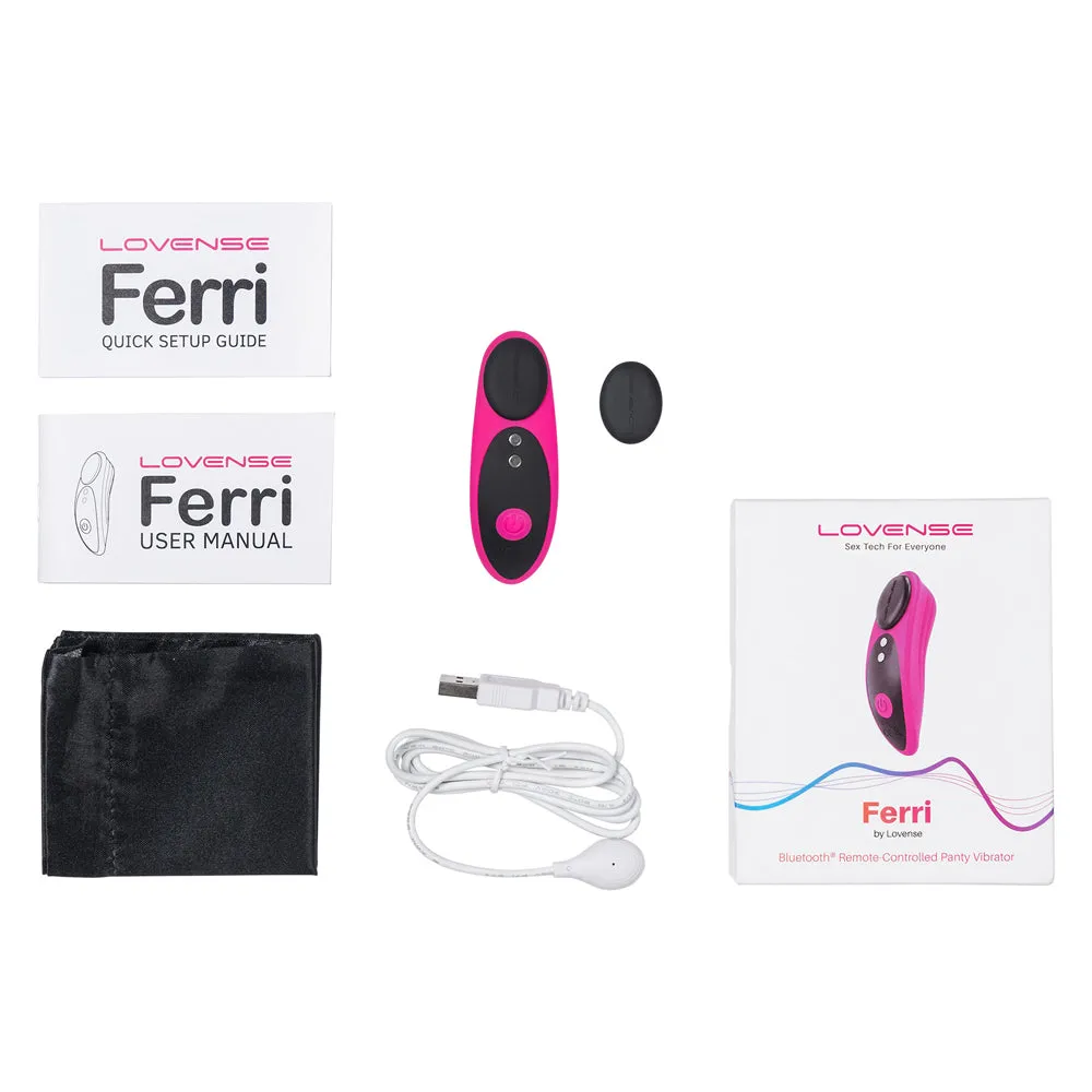 Lovense Ferri Bluetooth Panty Vibrator