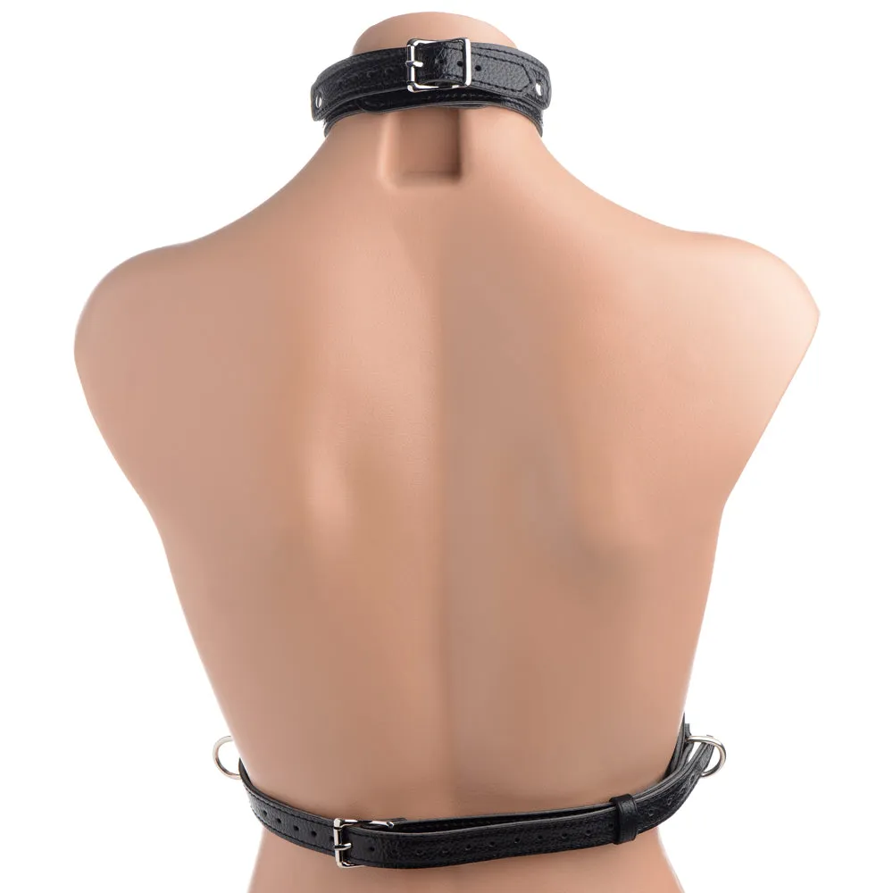 Strict Female Chest Harness