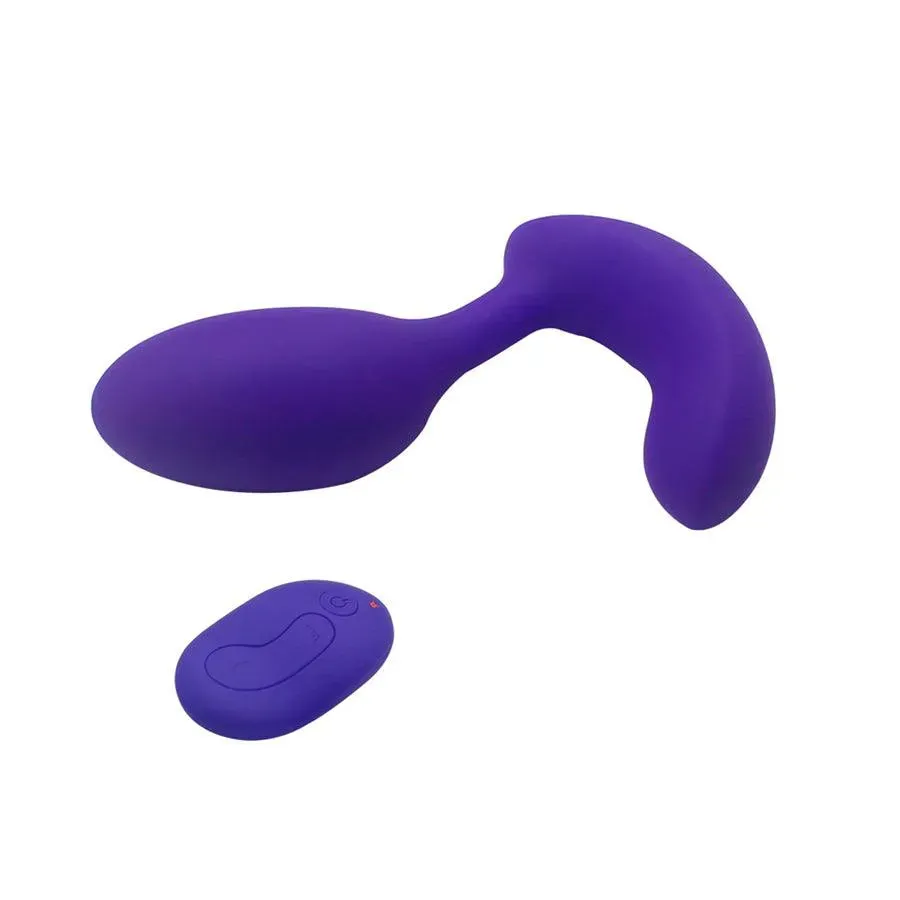 Wireless Remote Control Multiple Function Vibrator