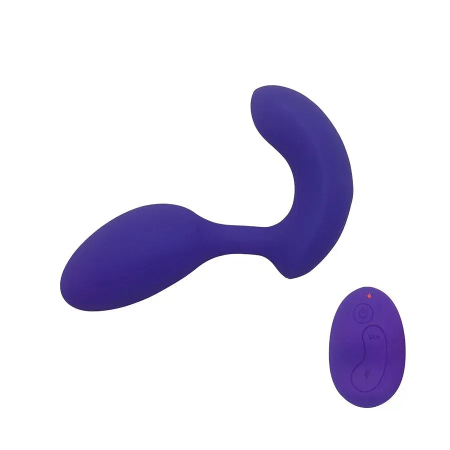 Wireless Remote Control Multiple Function Vibrator